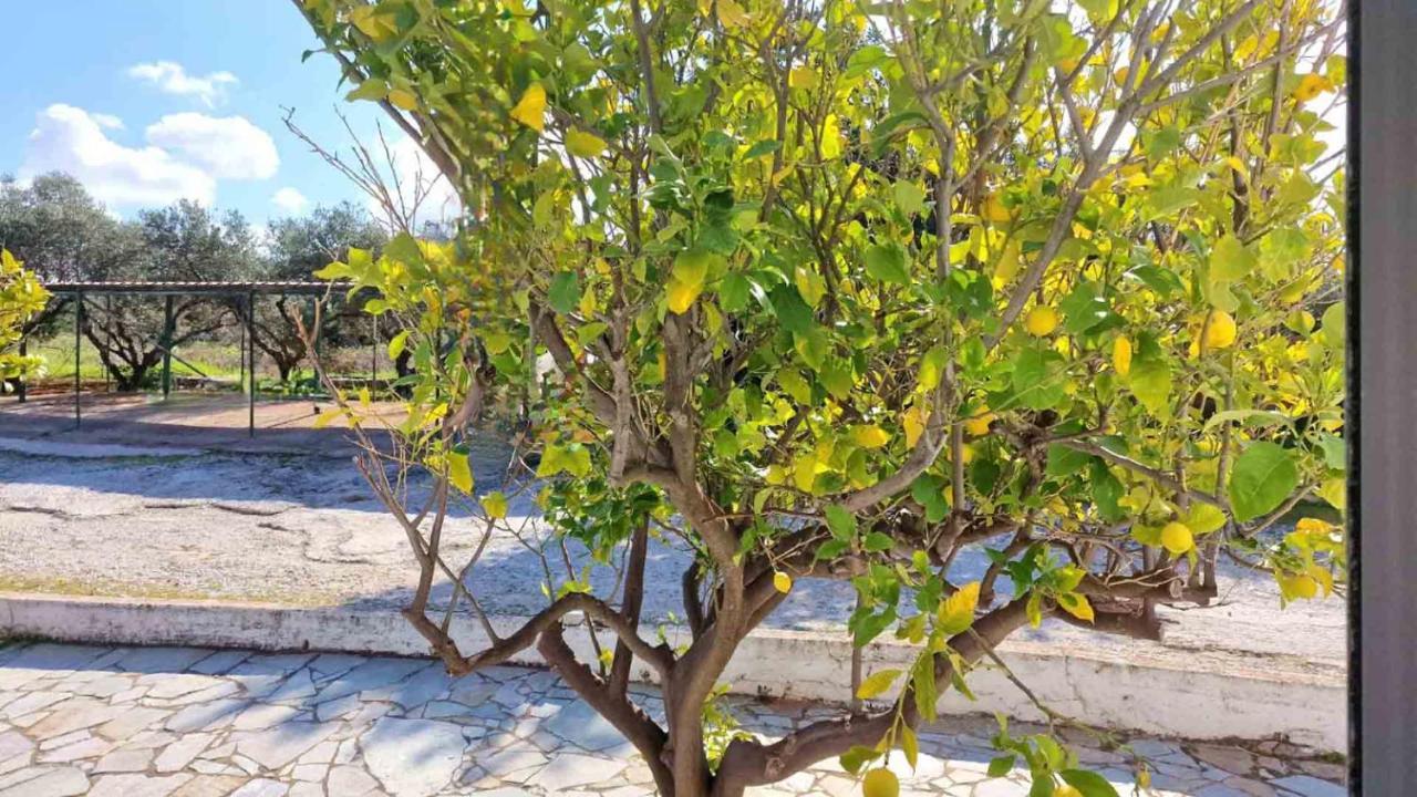 My Cretan Village By Go4Sea Chorafakia Ngoại thất bức ảnh
